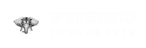 Fotógrafo de Csamentos